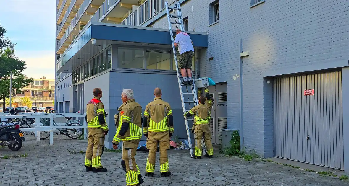Spannend avontuur voor kat - Foto 8