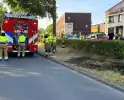 Brand in berm en struikgewas onder controle