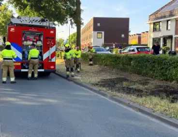 Brand in berm en struikgewas onder controle