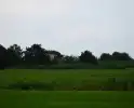 Rietbrand vroeg in de ochtend