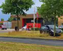 Bestuurder zwaargewond na aanrijding met boom