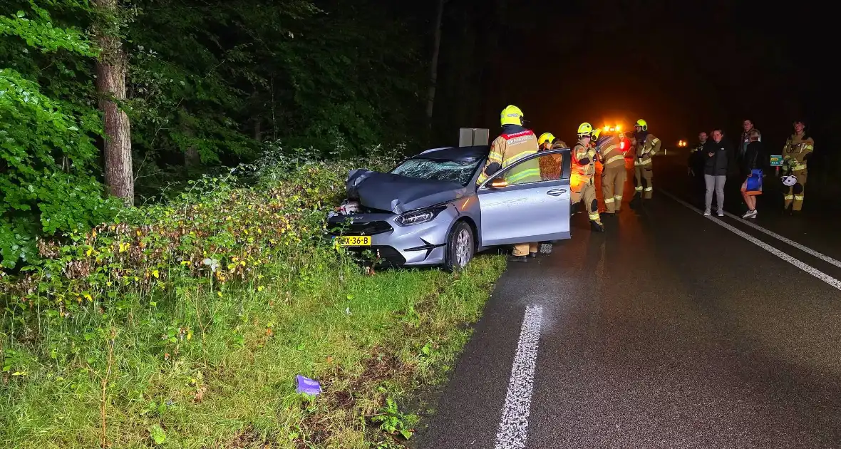 Automobiliste botst op afgebroken tak