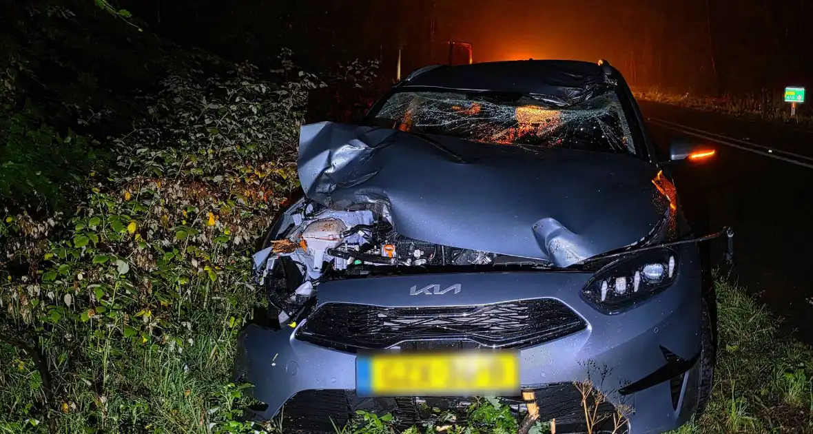 Automobiliste botst op afgebroken tak - Foto 4