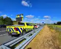 Hond aangereden door automobilist op snelweg