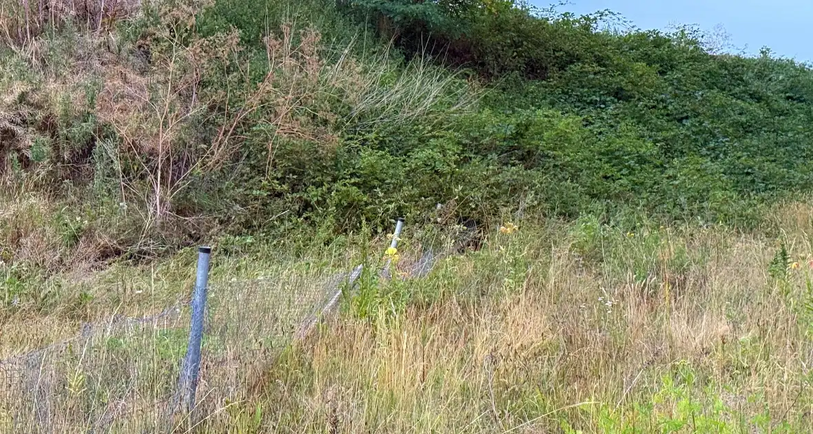 Auto verliest controle en botst in berm - Foto 6