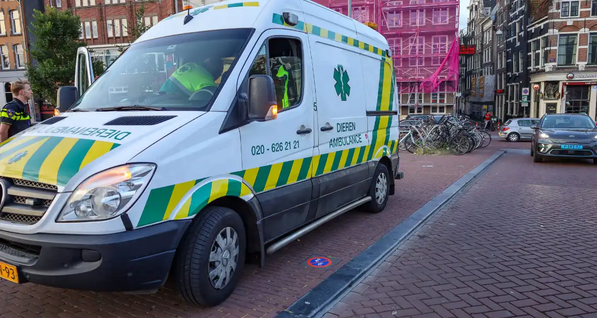 Explosie in koffieshop leidt tot brand - Foto 4