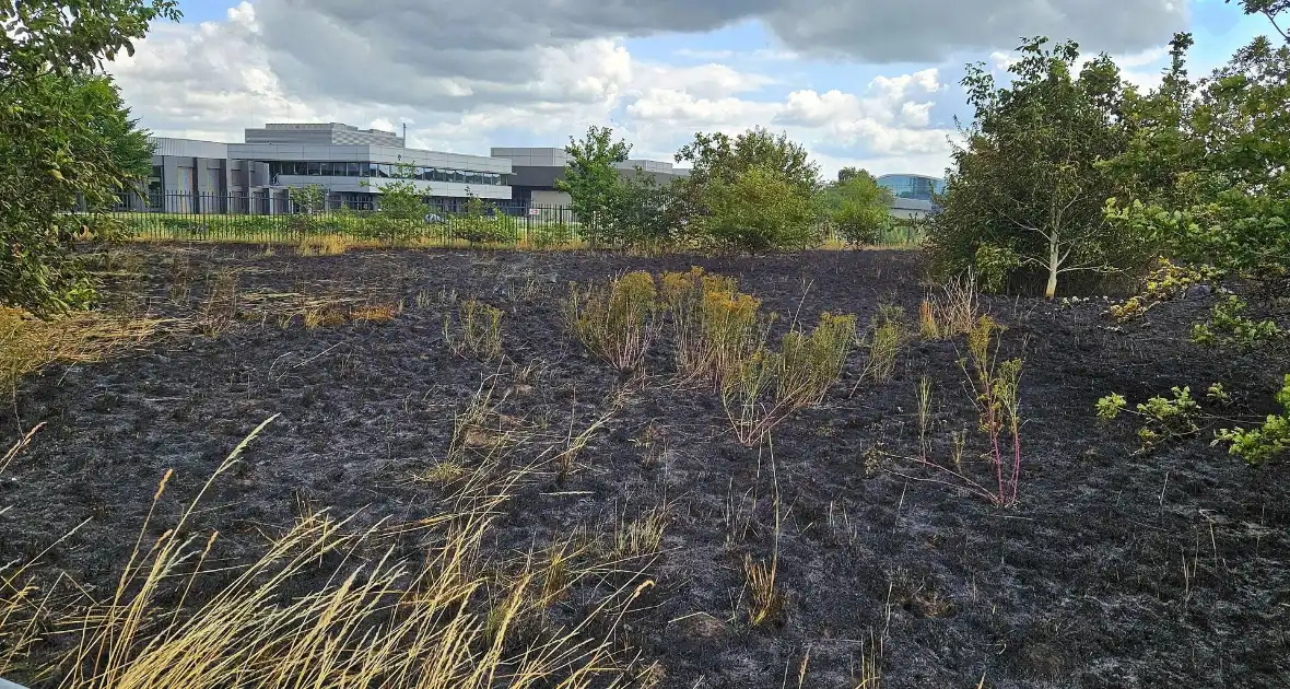 Bermbrand veroorzaakt verkeershinder - Foto 1