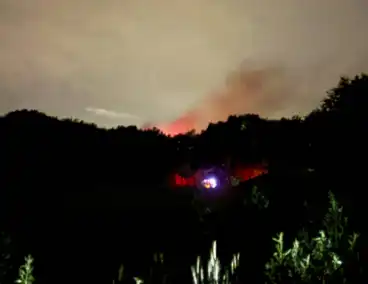 Brandweer blust snel om zich heen grijpende brand