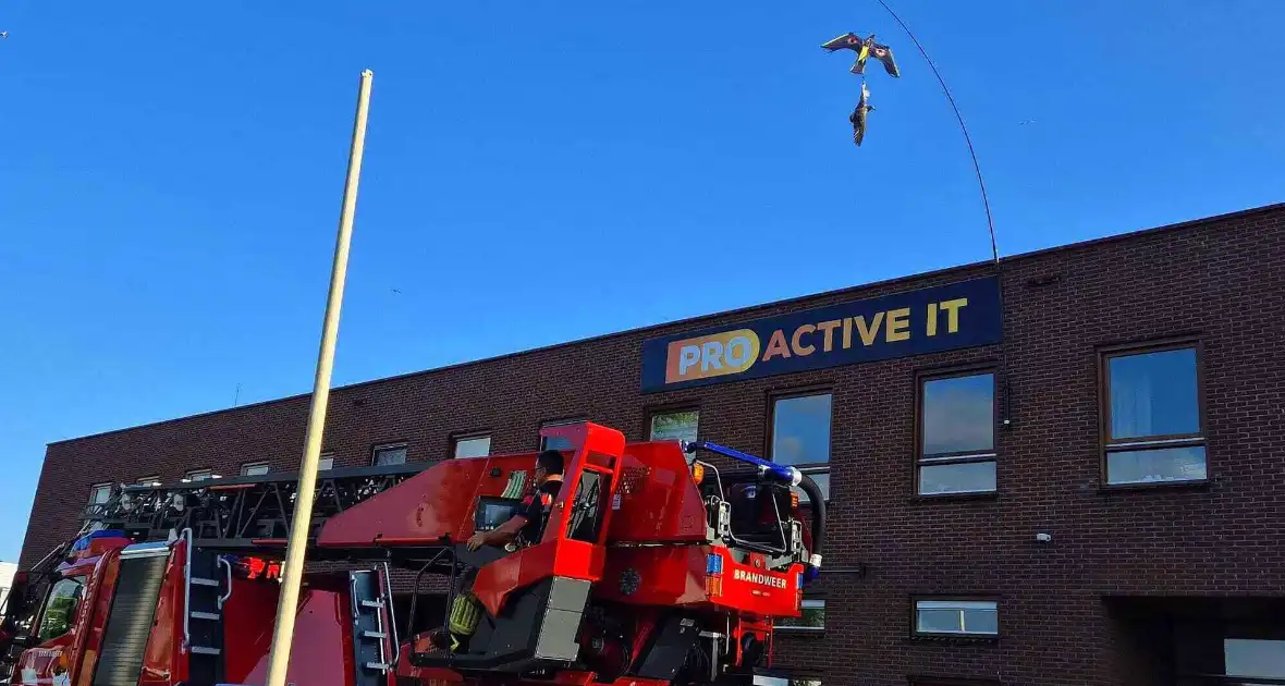 Brandweer bevrijdt vogel uit vlieger - Foto 2