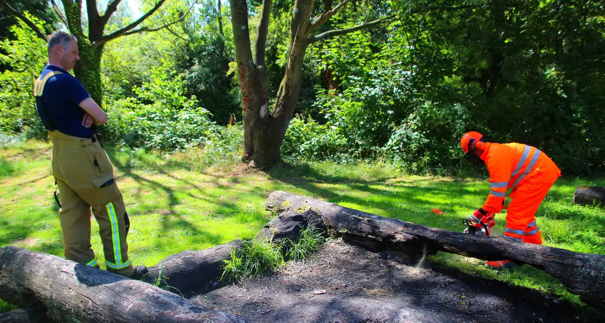 Brandweer blust boomstam na oversteek