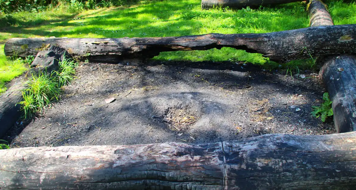 Brandweer blust boomstam na oversteek - Foto 2