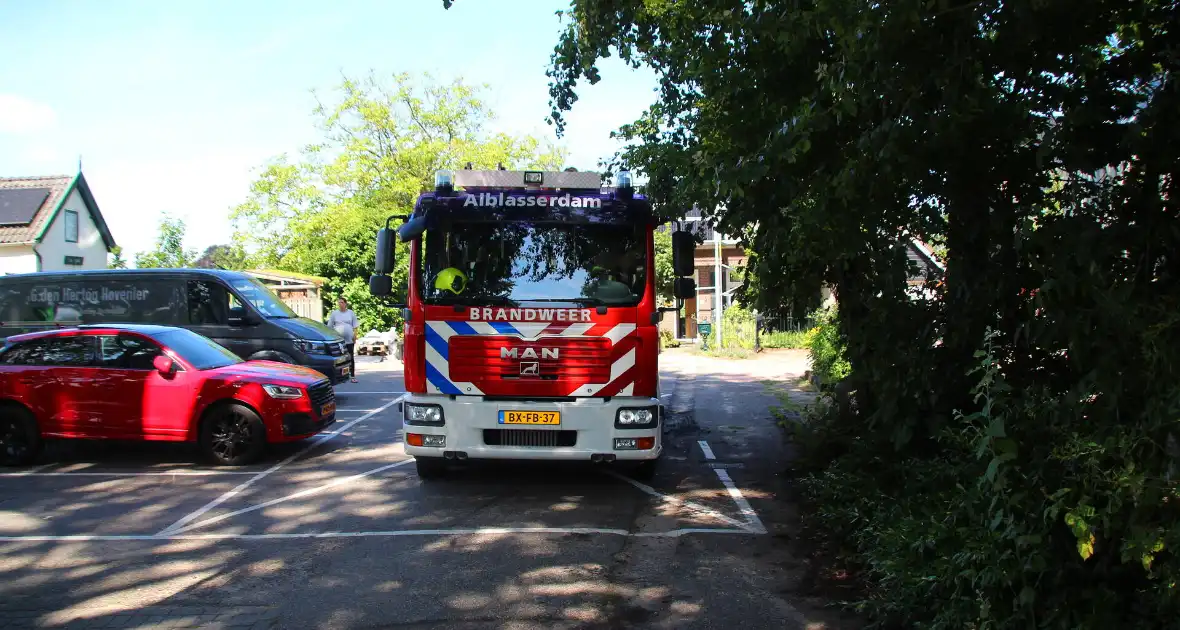 Brandweer blust boomstam na oversteek - Foto 3