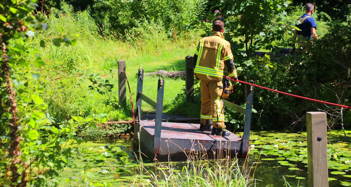 Brandweer blust boomstam na oversteek - Foto 4