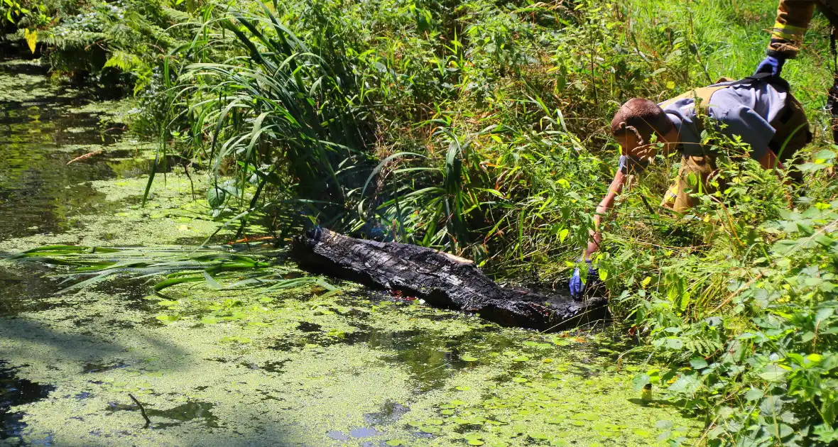 Brandweer blust boomstam na oversteek - Foto 5
