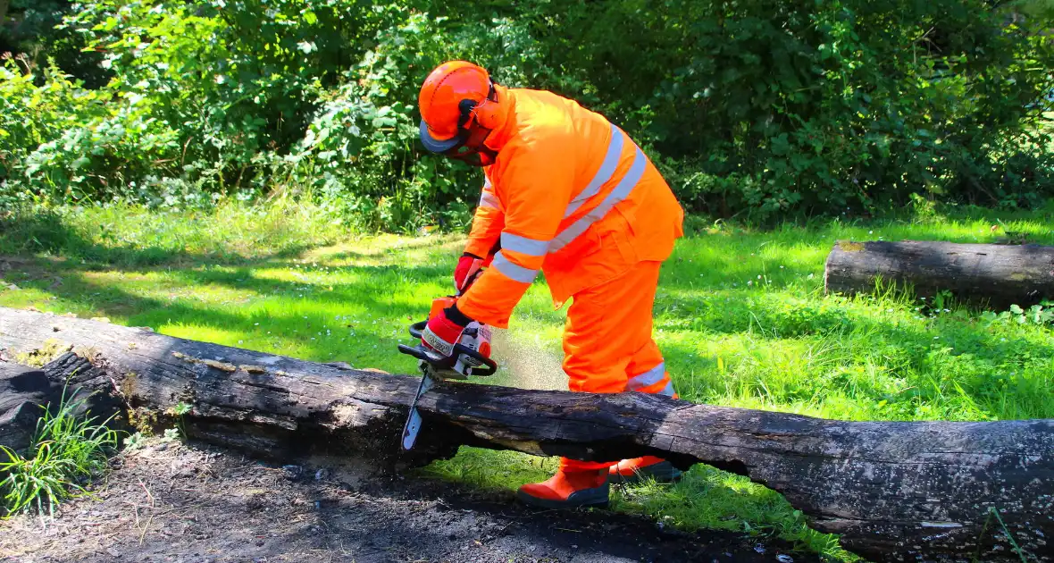Brandweer blust boomstam na oversteek - Foto 7