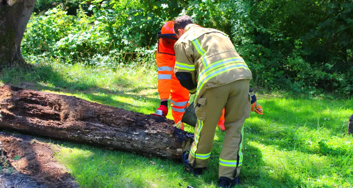 Brandweer blust boomstam na oversteek - Foto 8