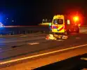 Loslopende koe zorgt voor ongeval op snelweg
