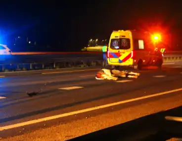 Loslopende koe zorgt voor ongeval op snelweg