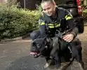 Brand na mogelijke explosie in nachtelijke uren