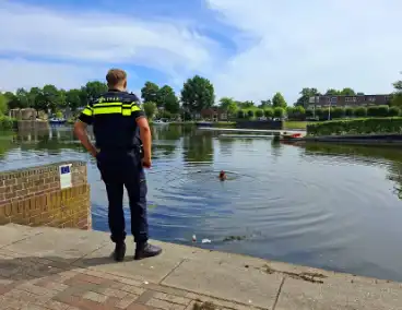 Hulpdiensten reageren op persoon in het water