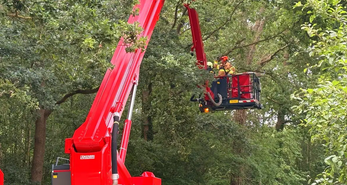 Hoogwerker inzet bij stormschade