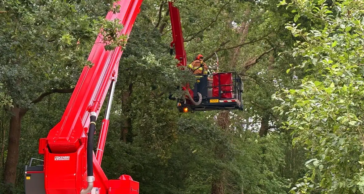 Hoogwerker inzet bij stormschade - Foto 3