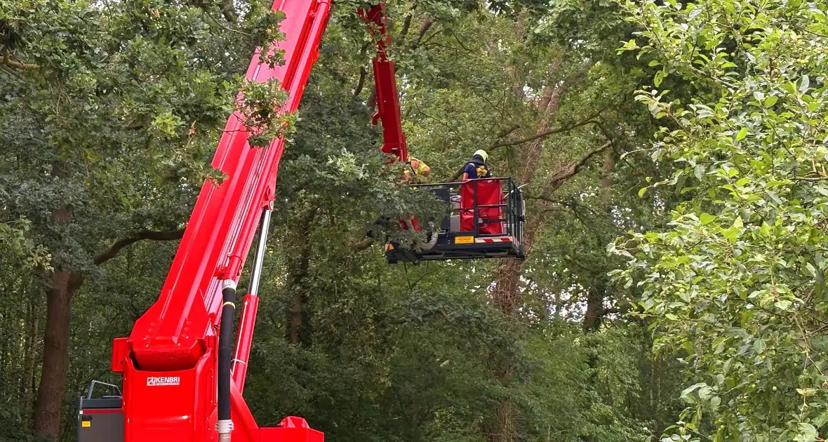 Hoogwerker inzet bij stormschade - Foto 4