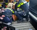 Hert gered uit de Rijn na sprongetje te water
