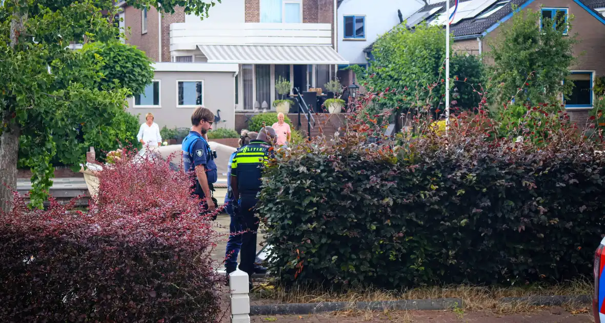 Hert gered uit de Rijn na sprongetje te water - Foto 2