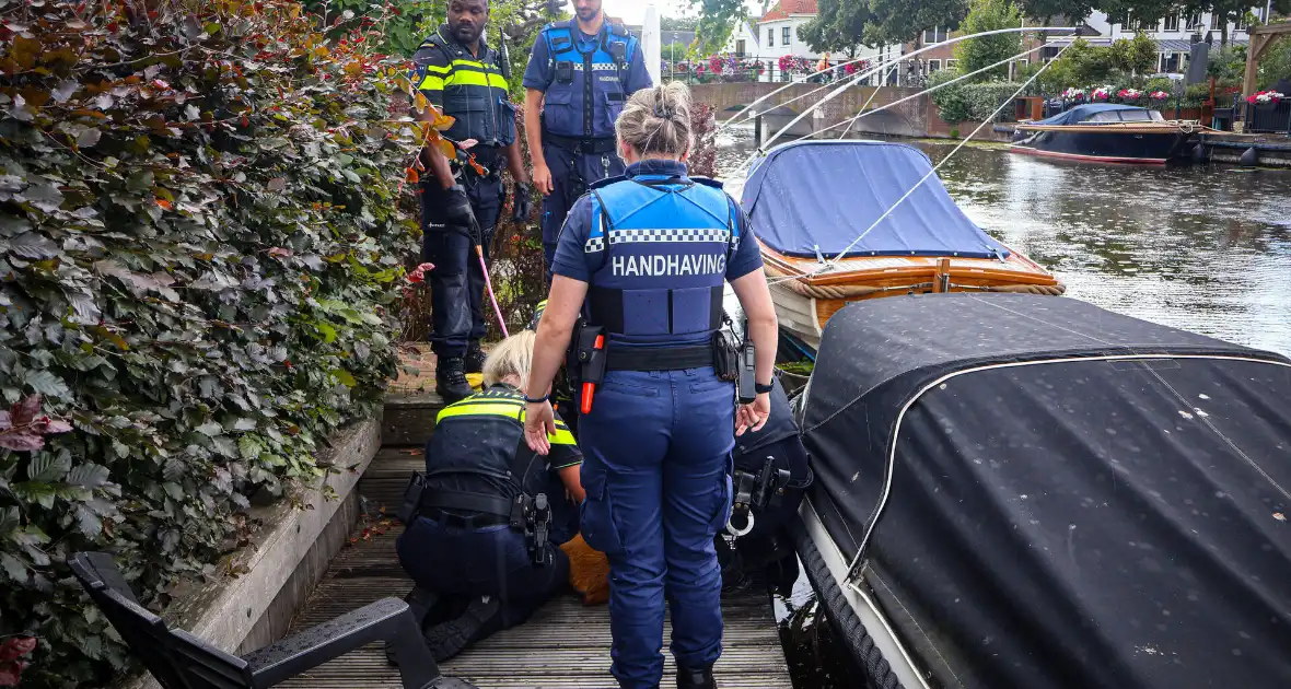 Hert gered uit de Rijn na sprongetje te water - Foto 3