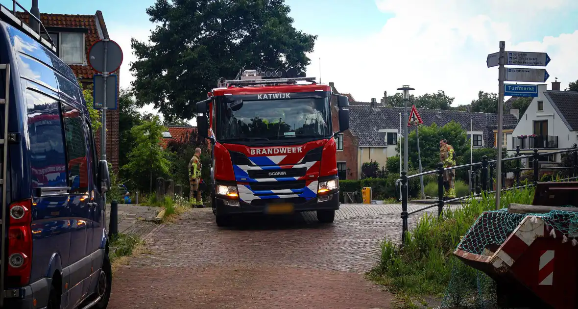 Hert gered uit de Rijn na sprongetje te water - Foto 5