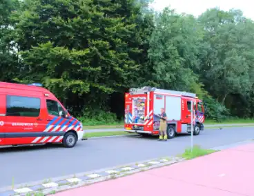 Droog gras veroorzaakt buitenbrand