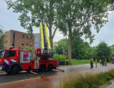 Brandweer verwijdert gevaarlijke boomtak