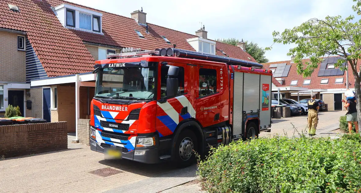 Brandweer redt kat Frenkie van dak - Foto 1