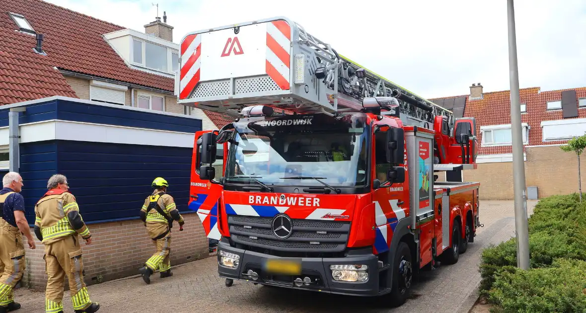 Brandweer redt kat Frenkie van dak - Foto 2