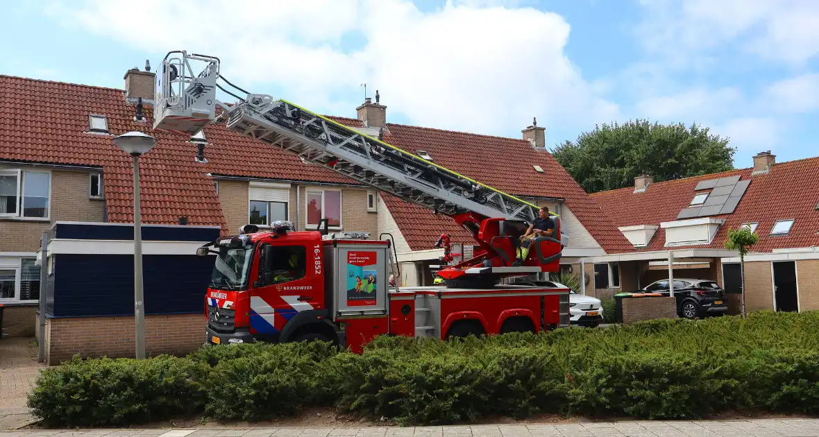 Brandweer redt kat Frenkie van dak - Foto 3