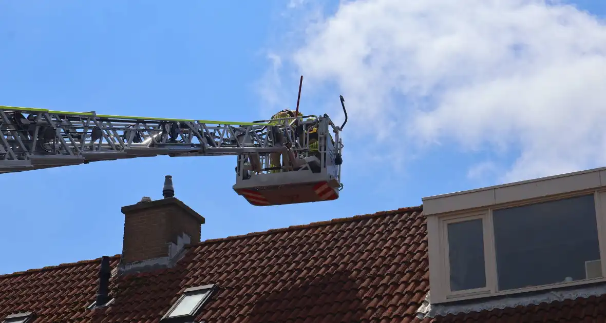 Brandweer redt kat Frenkie van dak - Foto 4