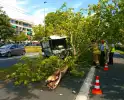 Veegwagen botst op boom