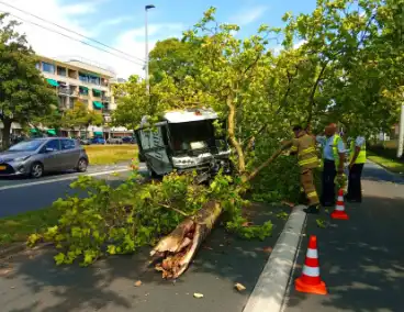 Veegwagen botst op boom