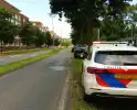 Kop-staartbotsing in de middag
