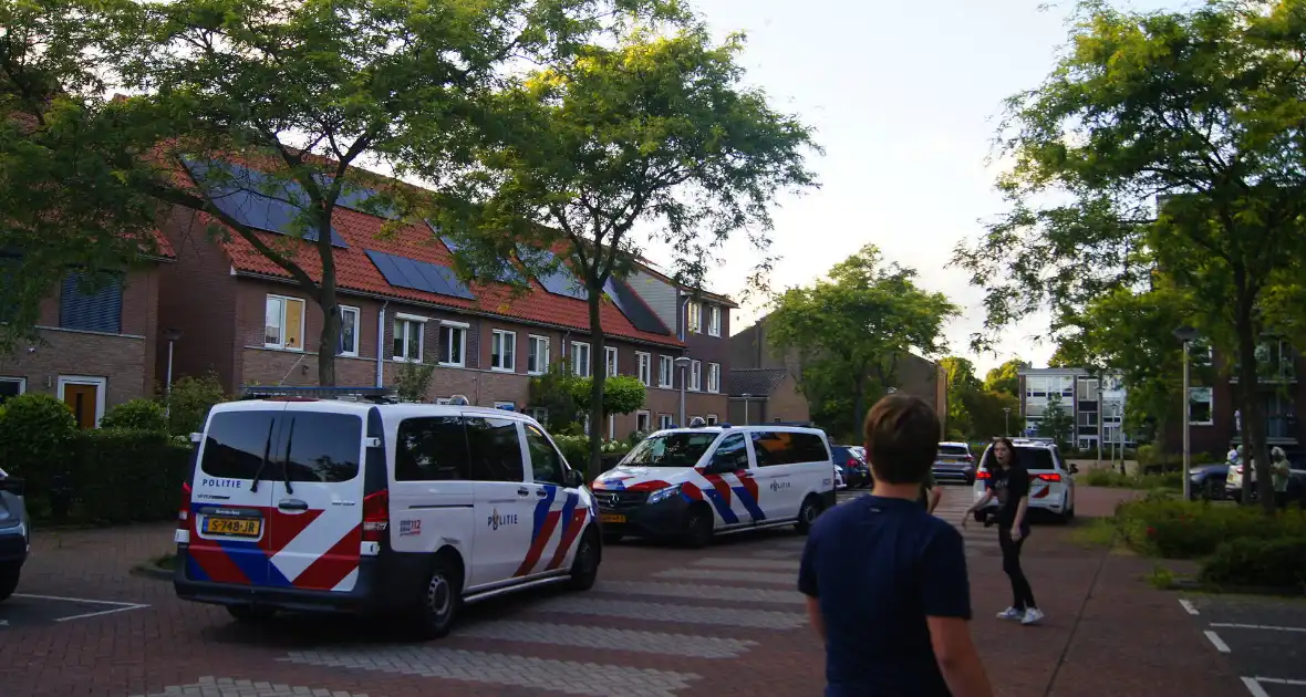 Politie zet taser in bij arrestatie - Foto 2