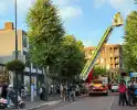 Brandweer bevrijdt duif uit benarde situatie