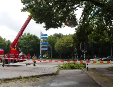 Provinciale weg deels afgesloten door stormschade