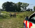 man in het water gevonden na zoekactie