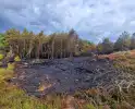 Heidebrand veroorzaakt forse schade