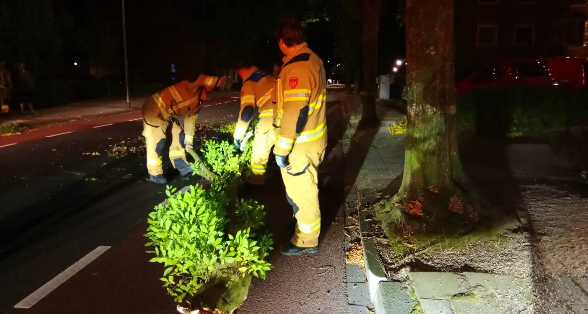 Brandweer verwijdert afgebroken boomtak