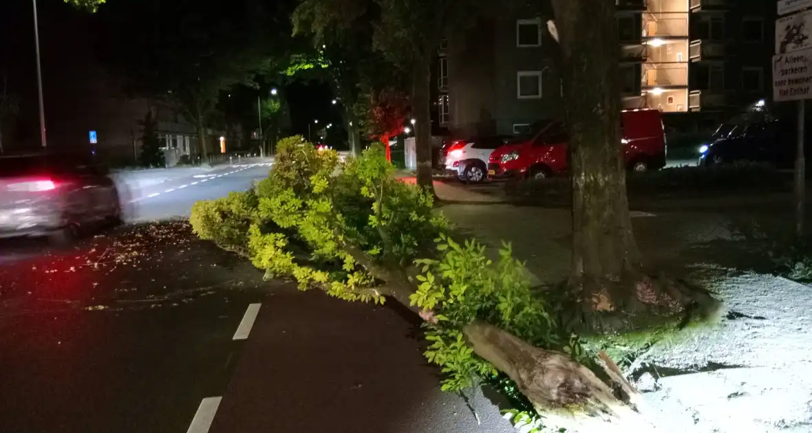 Brandweer verwijdert afgebroken boomtak - Foto 3