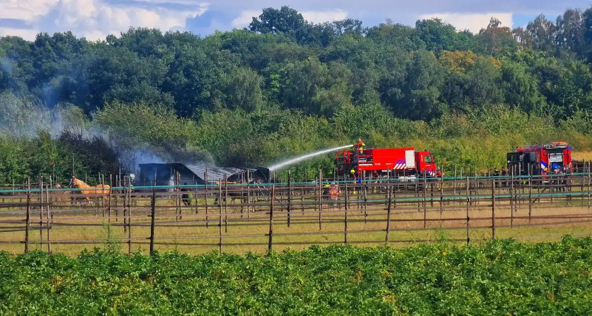 Paardenstal in vlammen, geen gewonden