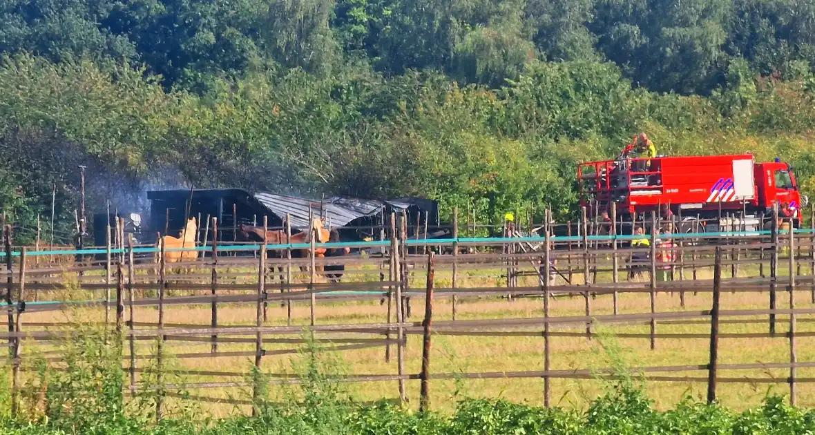 Paardenstal in vlammen, geen gewonden - Foto 1