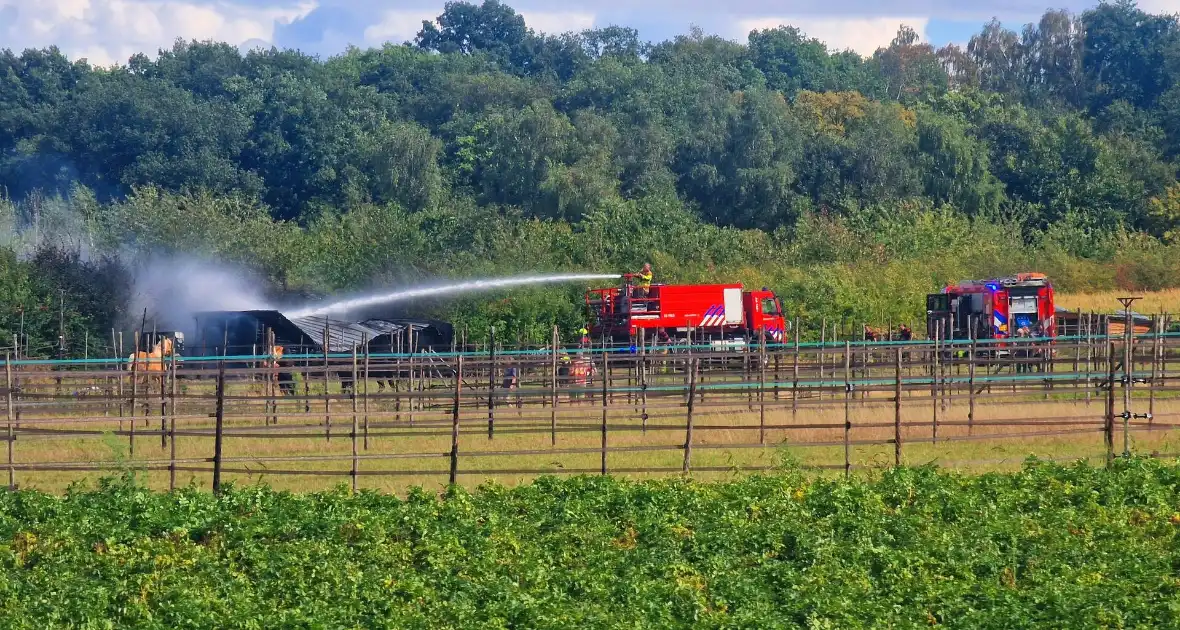 Paardenstal in vlammen, geen gewonden - Foto 2